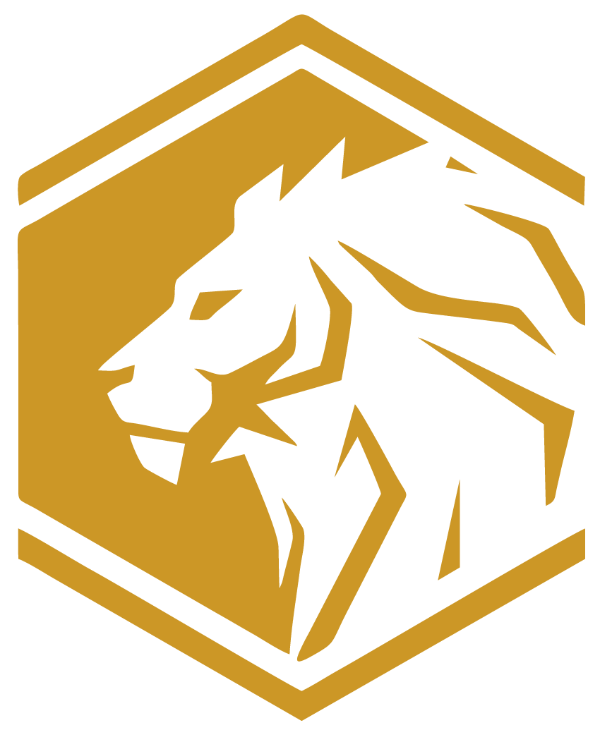 Aslan Fahrschule Logo
